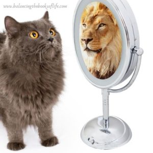 Year End Reflection - cat sees lion